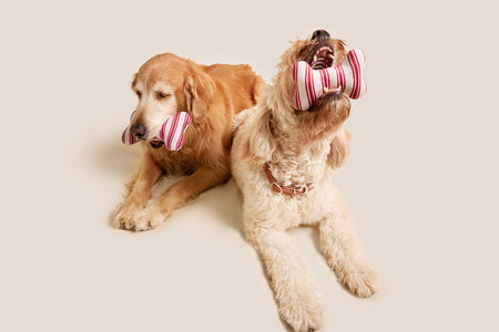 Red Striped Bone Shaped Plush Toy 6"