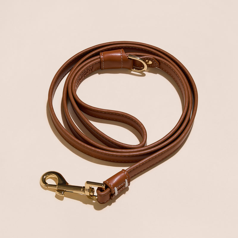 Walk Your Dog Bundle - Brown