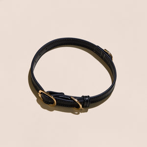 Walk Your Dog Bundle - Black