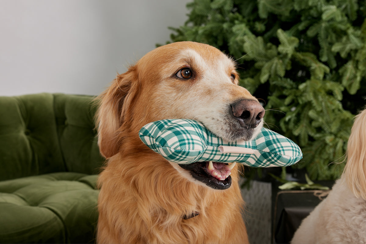 Christmas Tree Green Plaid Bone Shaped Plush Toy 8"