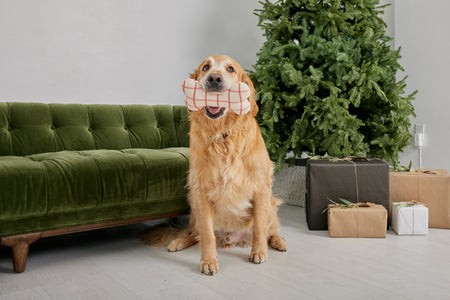 Red Plaid Bone Shaped Plush Toy 8"