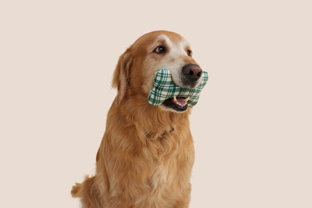 Christmas Tree Green Plaid Bone Shaped Plush Toy 6"