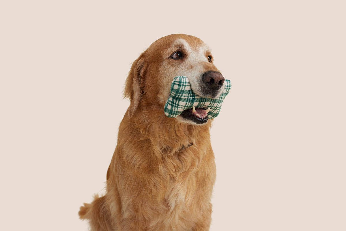 Christmas Tree Green Plaid Bone Shaped Plush Toy 6"