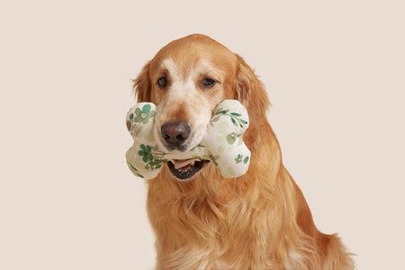 Green Floral Bone Shaped Plush Toy 8"