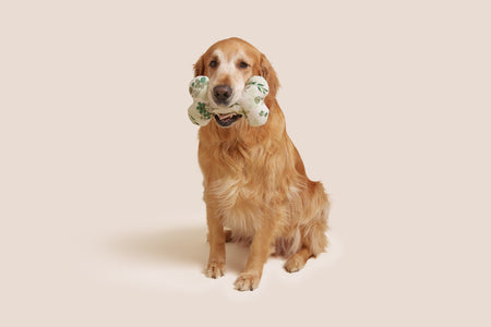Green Floral Bone Shaped Plush Toy 8"