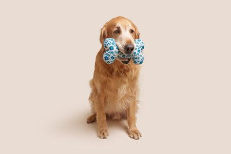 Blue Floral Bone Shaped Plush Toy 8"