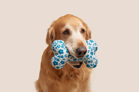 Blue Floral Bone Shaped Plush Toy 8"