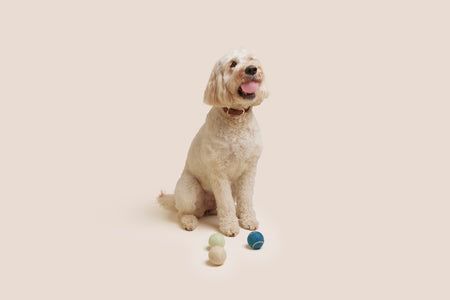 Tennis Ball 4 Pack