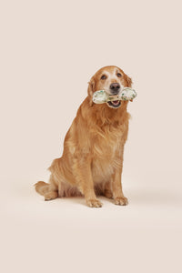Green Floral Bone Shaped Plush Toy 8"