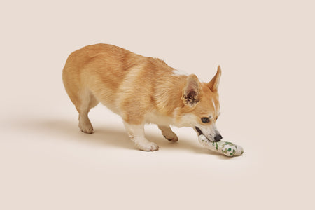 Green Floral Bone Shaped Plush Toy 6"