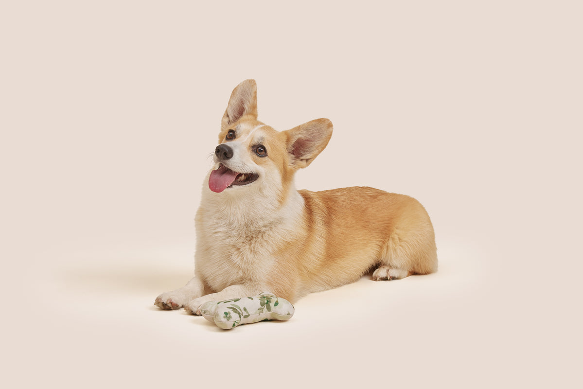 Green Floral Bone Shaped Plush Toy 6"