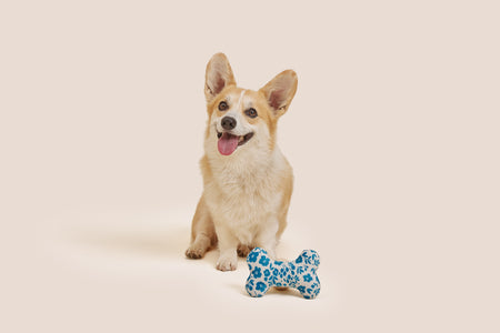 Blue Floral Bone Shaped Plush Toy 6"