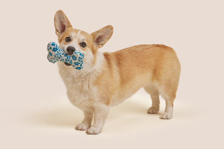 Blue Floral Bone Shaped Plush Toy 6"