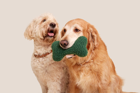 Green Sherpa Bone Shaped Plush Toy 8"
