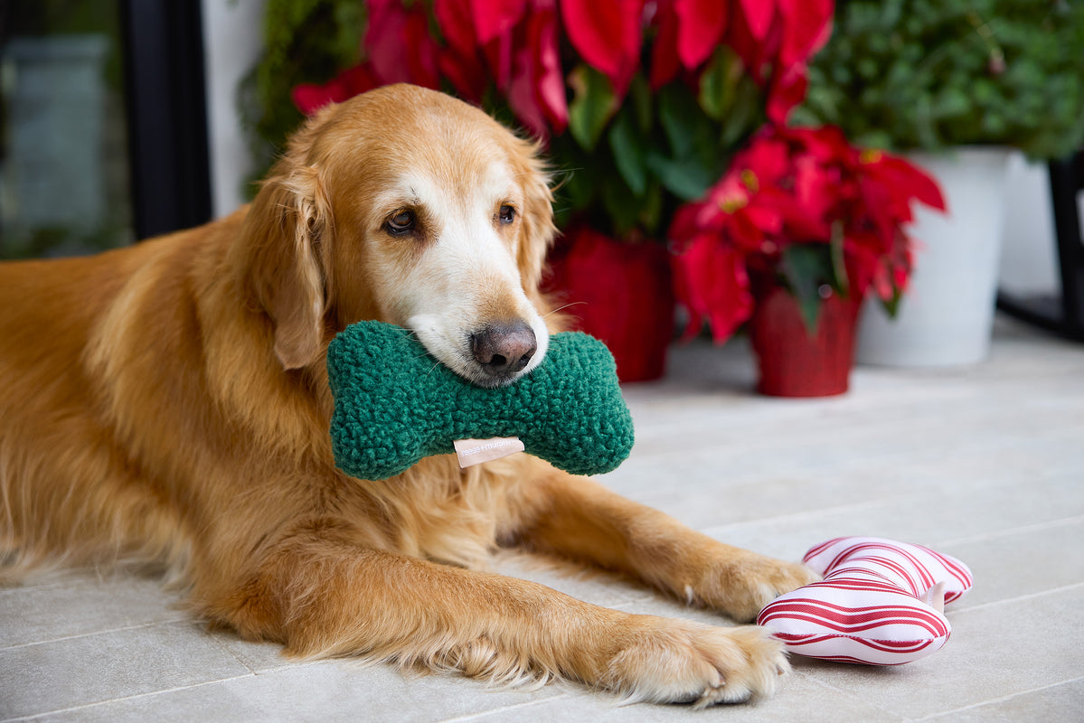 Green Sherpa Bone Shaped Plush Toy 8"