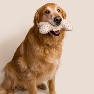 Bone Shaped Plush Toy