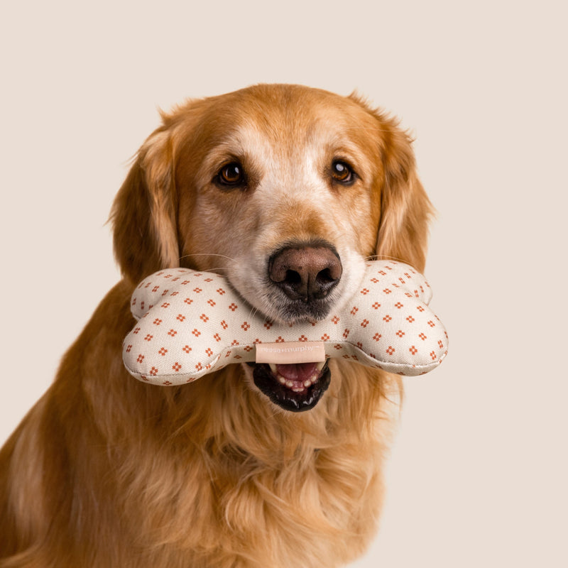 Bone Shaped Plush Toy