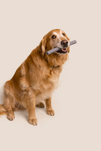Stick Chew Toy
