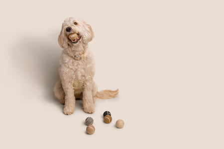 Tennis Ball 5 Pack