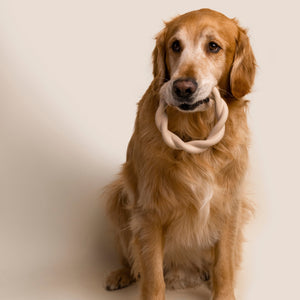 Twisted Ring Chew Toy