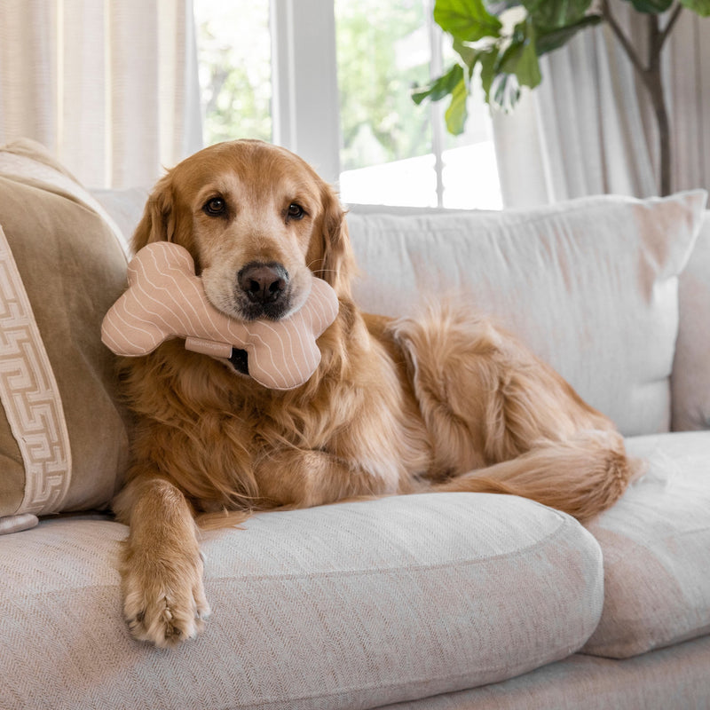 Bone Shaped Plush Toy