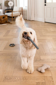 Stick Chew Toy
