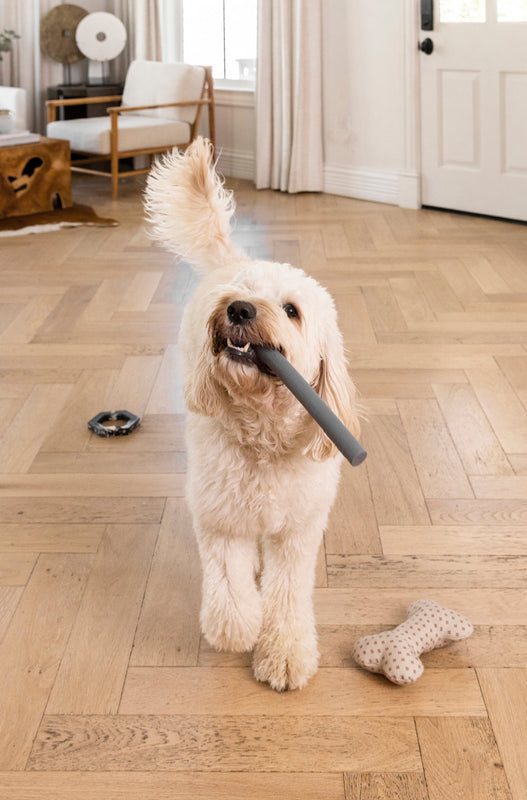 Stick Chew Toy