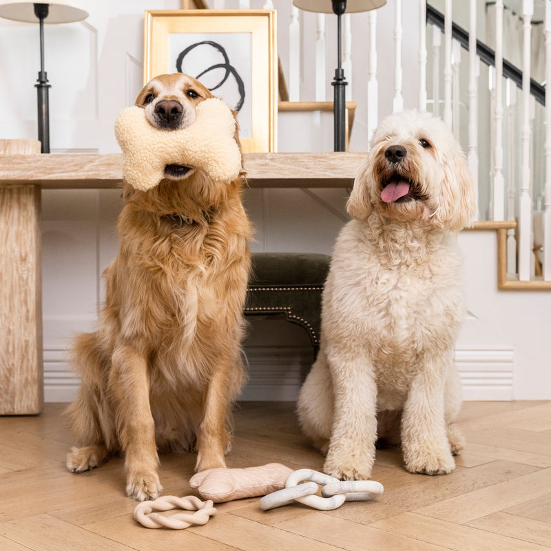 Bone Shaped Plush Toy