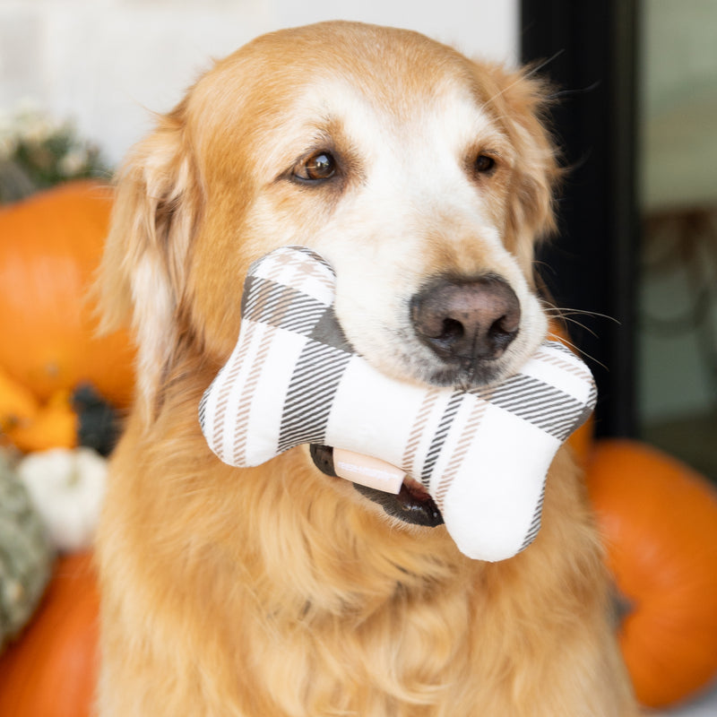 Brown Plaid Bone Shaped Plush Toy Bundle