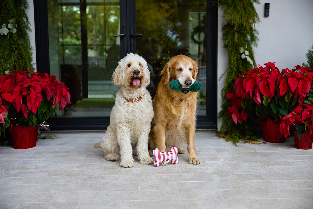 Red Striped Bone Shaped Plush Toy 8"