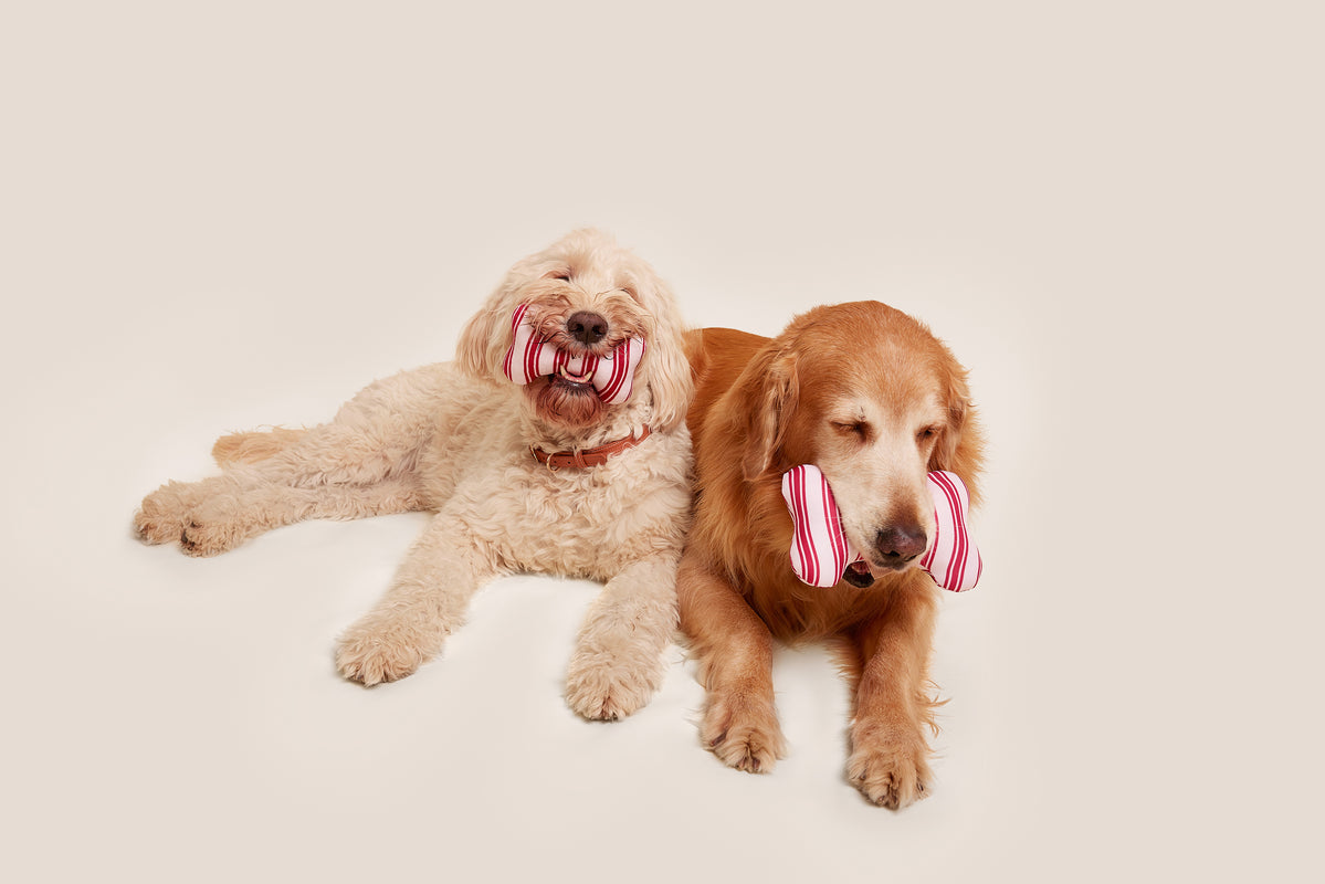 Red and White Striped Bone Shaped Plush Toy Bundle