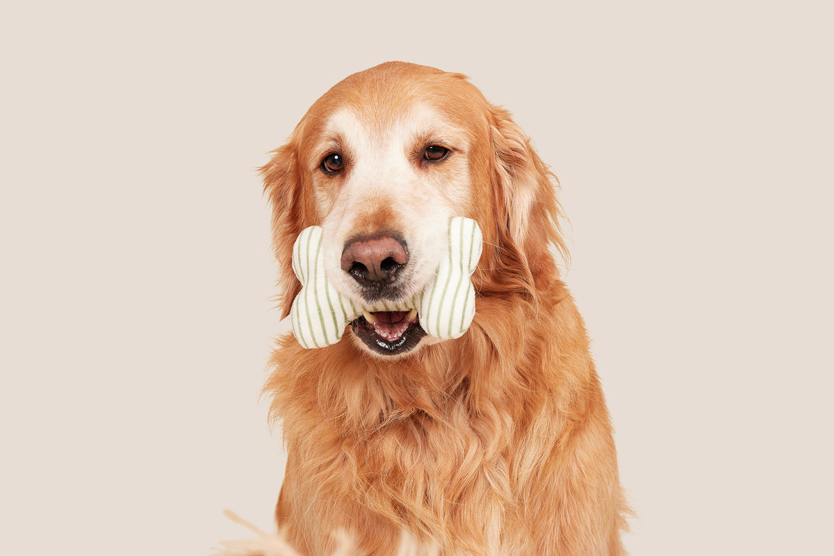 6" Green and Ivory Floral + Green Striped Bone Shaped Plush Toy