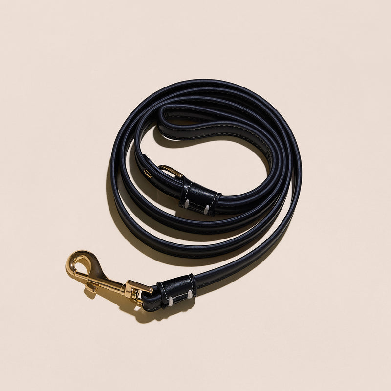 Black Leather Leash