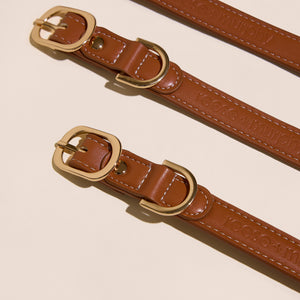 Brown Leather Collar