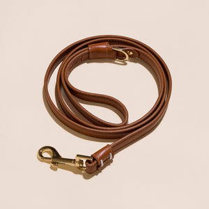 Brown Leather Leash