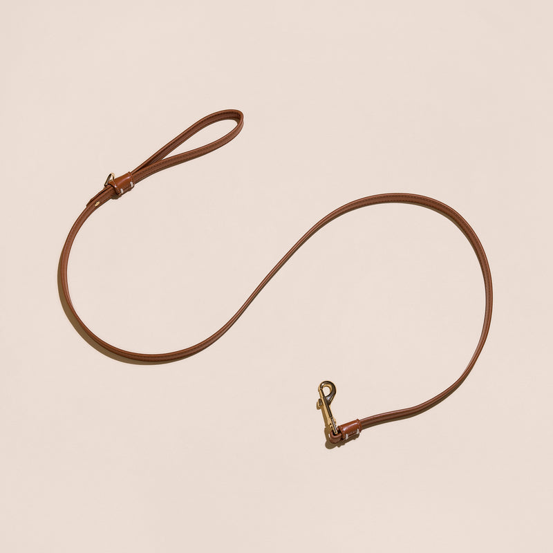 Brown Leather Leash