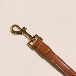 Brown Leather Leash