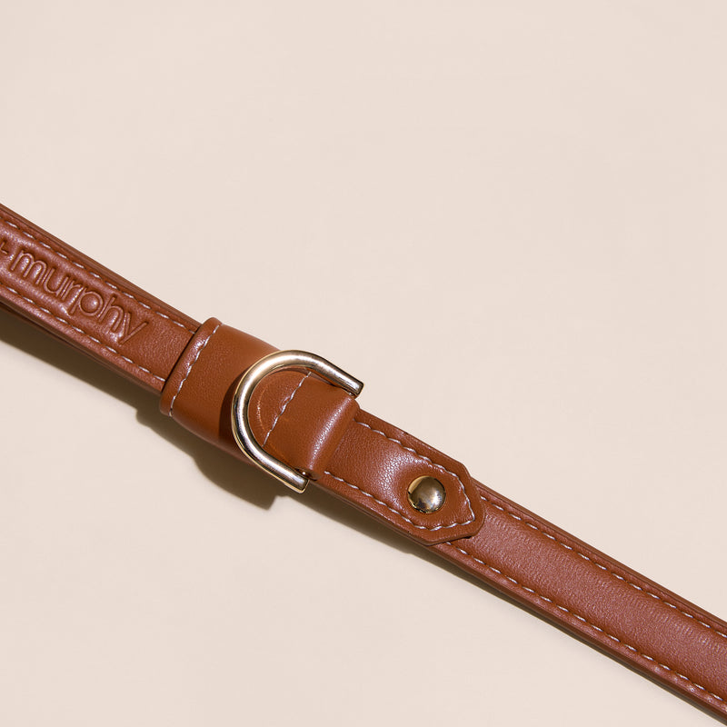 Brown Leather Leash