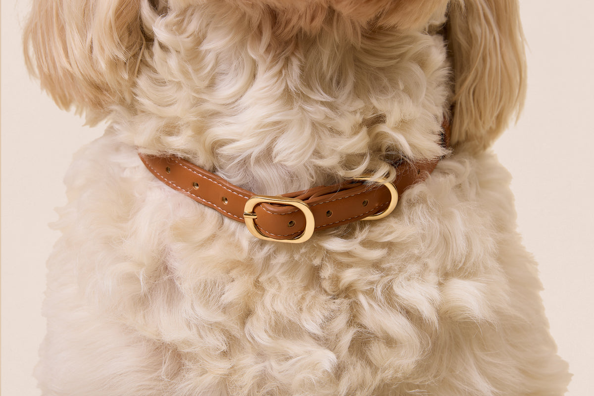 Brown Leather Collar