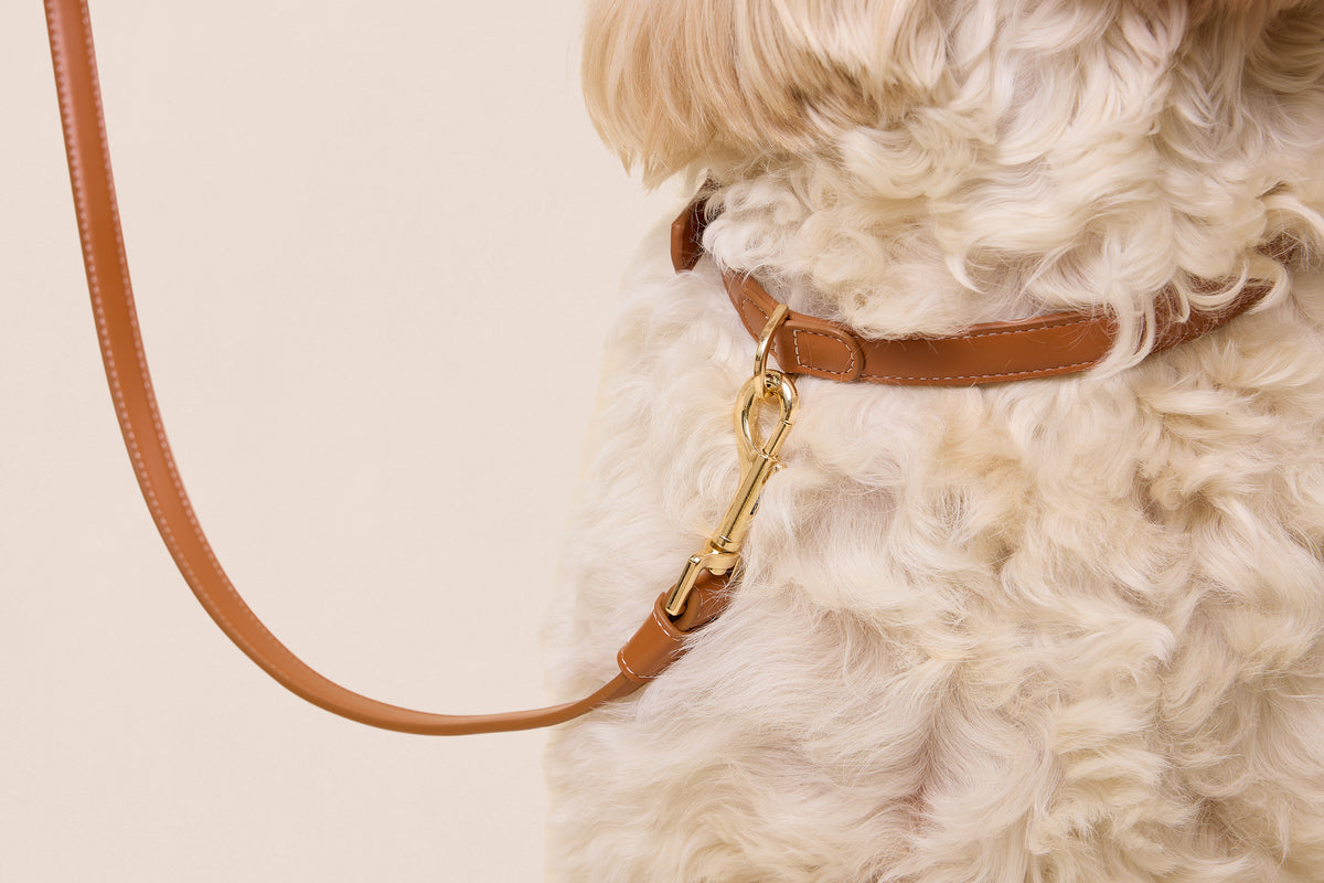 Brown Leather Leash