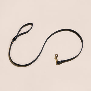 Black Leather Leash