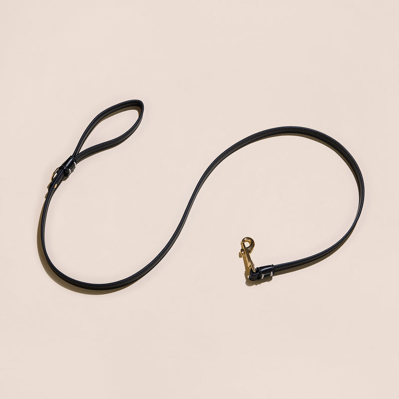 Black Leather Leash