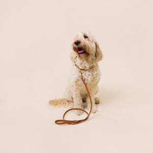 Brown Leather Leash