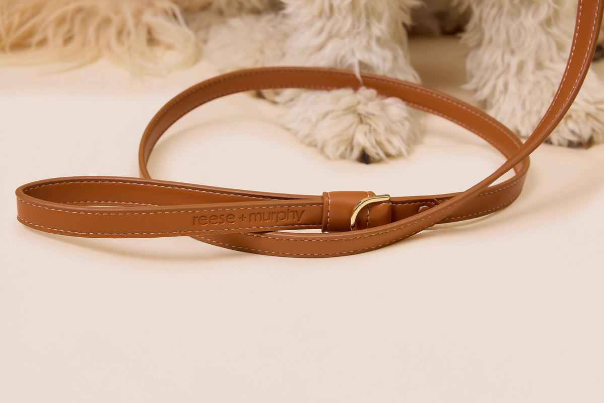 Brown Leather Leash