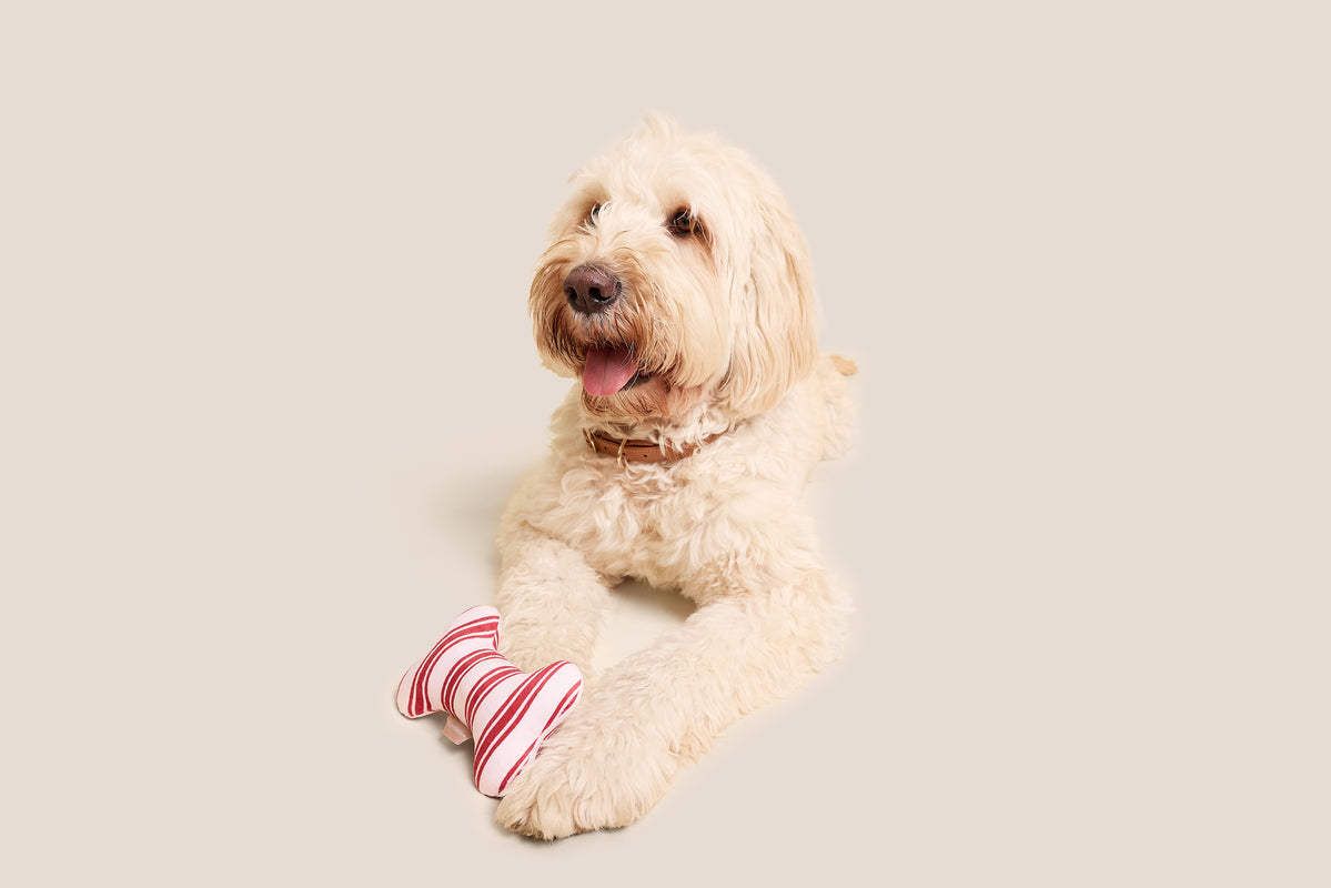 Red Striped Bone Shaped Plush Toy 8"