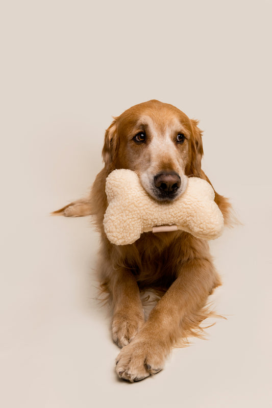 Neutral Bone Shaped Plush Toy Bundle