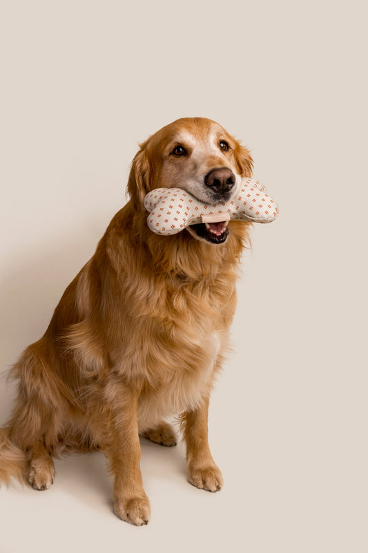 Neutral Bone Shaped Plush Toy Bundle