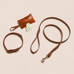 Brown Leather Walk Bundle
