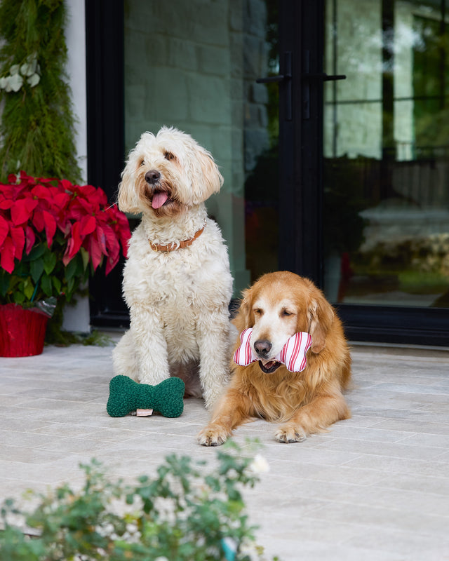 Green Sherpa + Red Striped Bone Shaped Plush Toy Bundle 8"