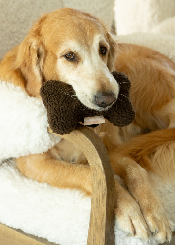 Chocolate Sherpa Bone Shaped Plush Toy